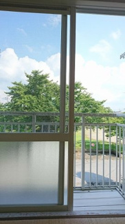 【展望】 | お部屋から見た目の前の公園です。