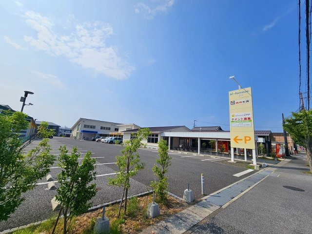 N-terrace