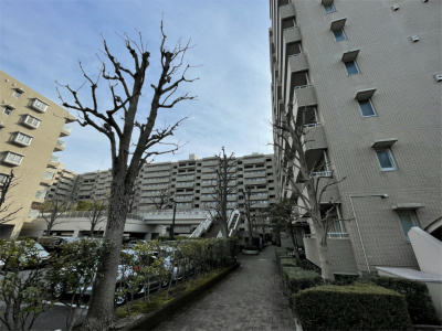 【外観】 | ヴィルヌーブ南越谷 | 外観