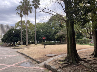 【周辺】 | 千葉ガーデンタウンD号棟