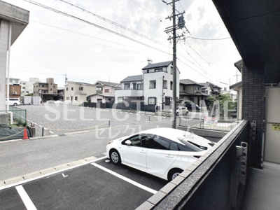 【展望】 | スターシード