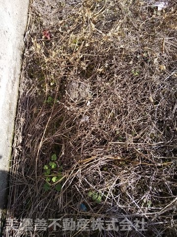 ６０３８０　岐阜市粟野西６丁目土地のその他