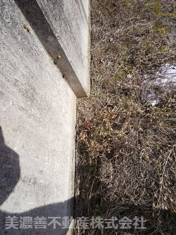 ６０３８０　岐阜市粟野西６丁目土地のその他