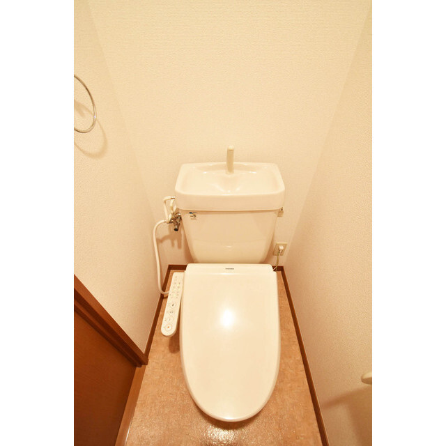 ダイショー館【キャッシュバック対象物件】のトイレ|トイレです