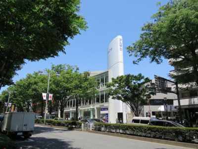 【展望】 | AP表参道