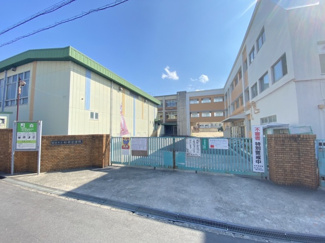 【周辺】 | 柏原市立柏原小学校(小学校)まで773m