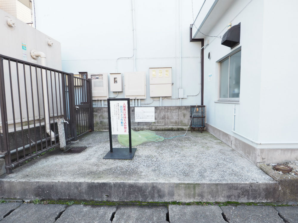 の-の画像