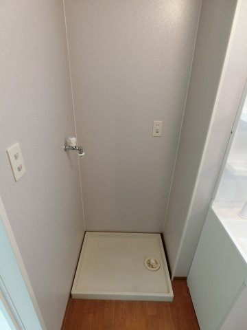 プラシード　A棟の洗面所