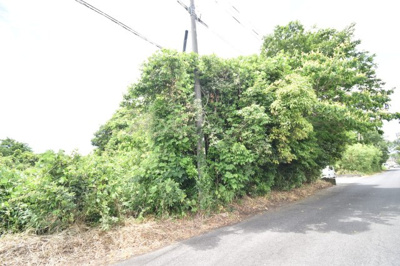 【外観】 | 鹿屋市新生町(10262-2)　売地