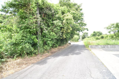 【前面道路含む現地写真】 | 鹿屋市新生町(10262-2)　売地