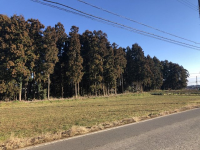 【前面道路含む現地写真】 | つくば市下広岡売地