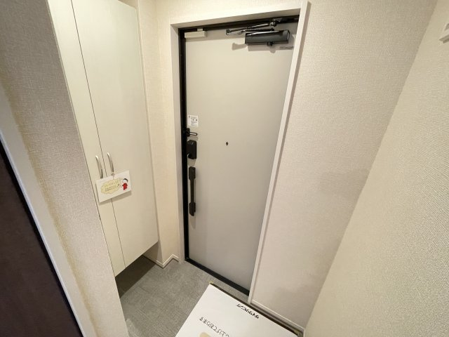 ハイピクチャーE棟の玄関