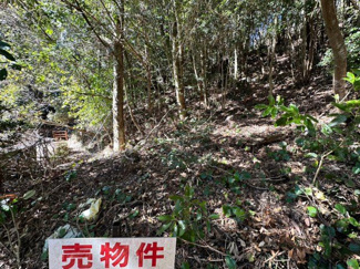 【外観】 | 霧島市霧島大窪