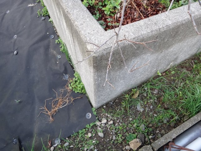 八代市鏡町売地の周辺