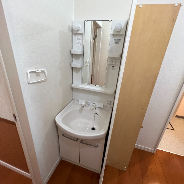 ハイム琉の洗面所