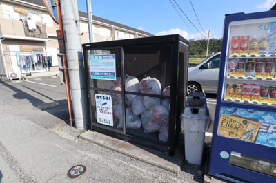 【その他】 | ルシーレ