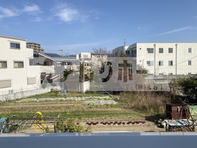 オールドウェルの展望