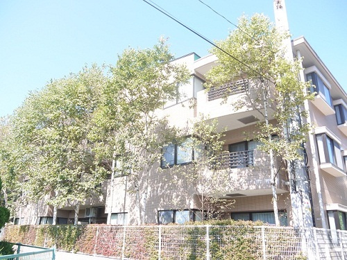 駅近の ﾘｿﾞｰﾄﾏﾝｼｮﾝ という選択の外観