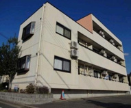 アッフェルの画像