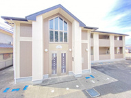 プラシードUの画像