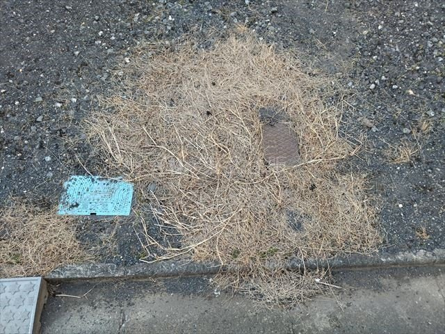 【外観】の画像