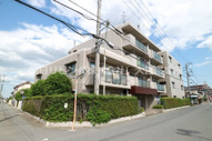 サエラ宮原の画像