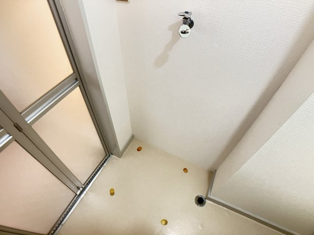 コーポ武井の洗面所