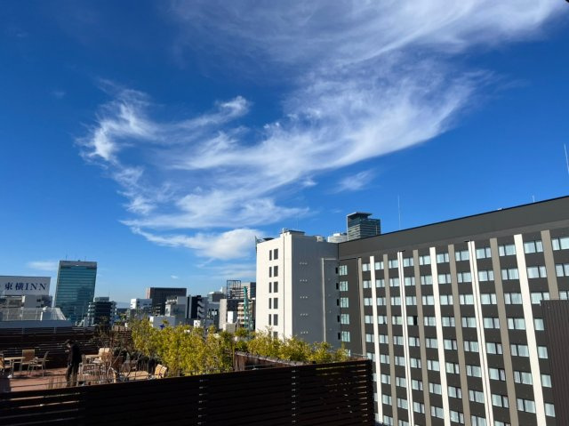 エスリード栄クロスシティの展望|エスリード栄クロスシティ