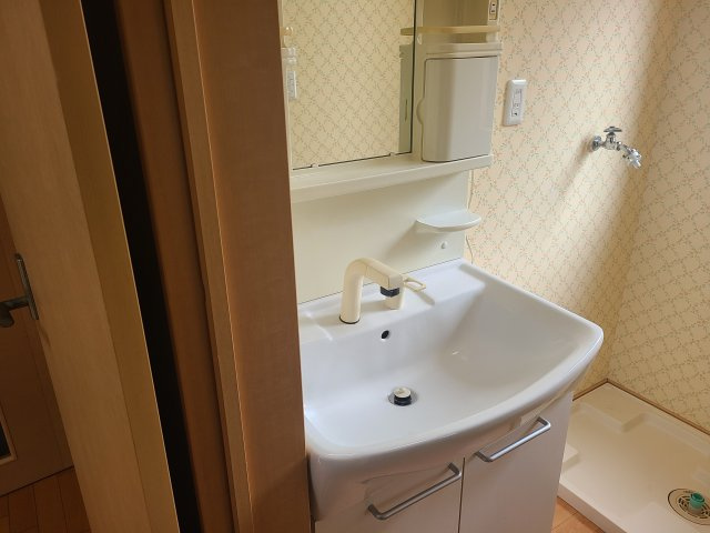 メゾン・レタージュの洗面所