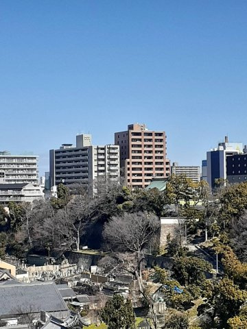 グランドパレス　夕陽丘の展望