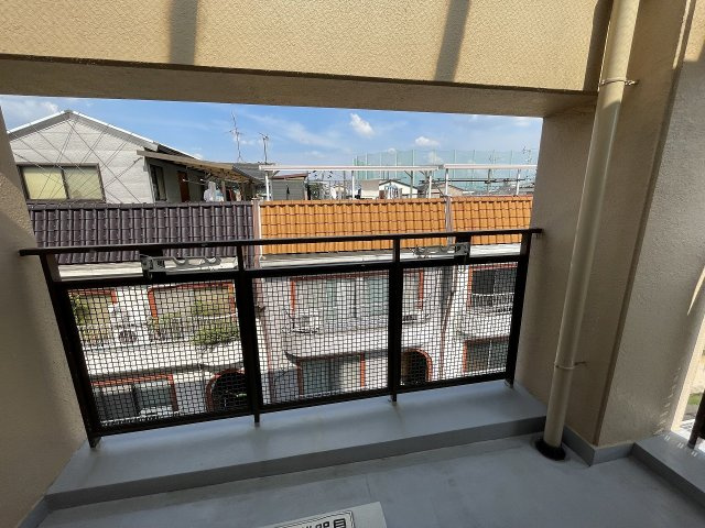 【展望】 | グレーシィ丸川
