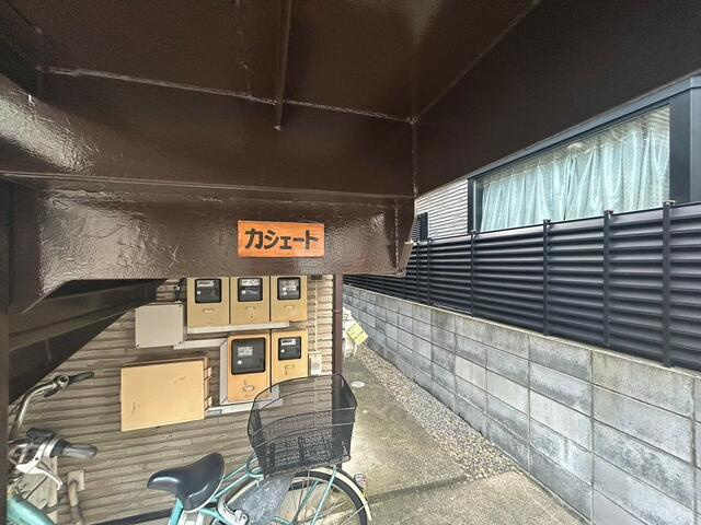カシェートの画像