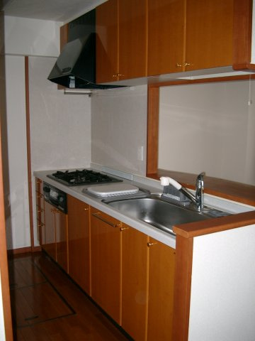 ライオンズシティ大府駅前　　刈谷市近郊の賃貸ならクラスホーム刈谷店のキッチン