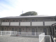 パストラル･コンフォートの画像