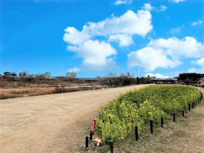 【展望】 | パストラル甲子園