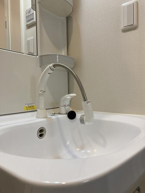 ラングタール篠崎の洗面所