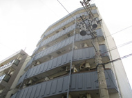 シャトレーヌ北島の画像