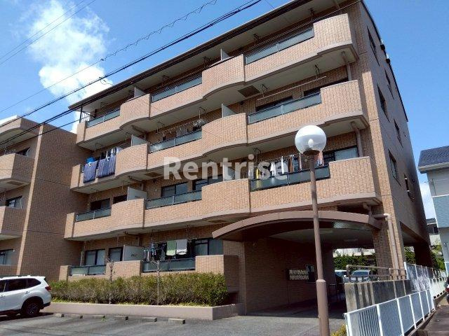 石照マンション花池の外観