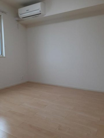 プラシード．ブレッザのその他