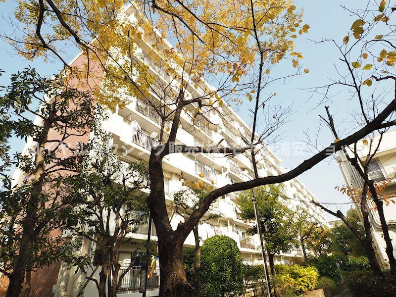 の-の画像