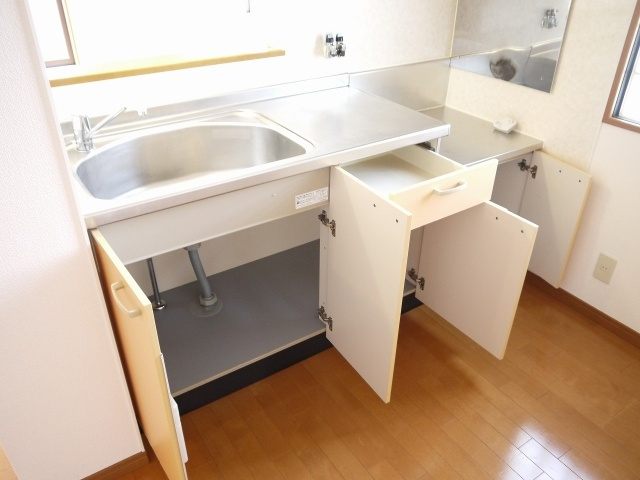 ラフィーネ　Ｂ棟（富堂町）のキッチン|便利な収納スペースです