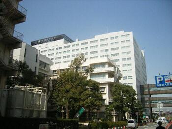 【周辺】 | 西宮市　鳴尾町２丁目　建築条件無土地