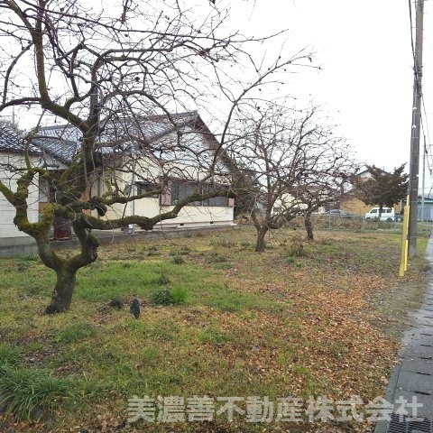 ６０２６５　本巣市長屋土地