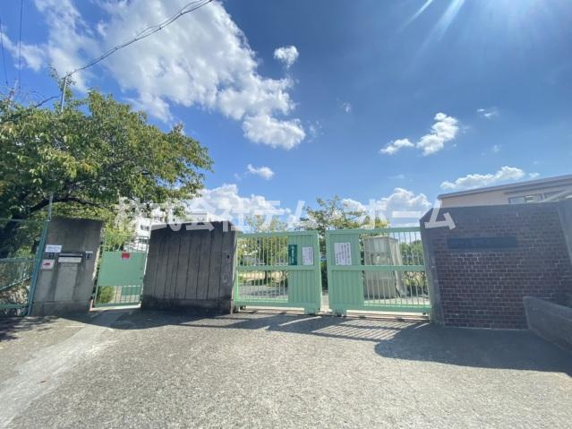 【周辺】 | サンハイツⅢ | 柏原市立堅下南小学校(小学校)まで559m