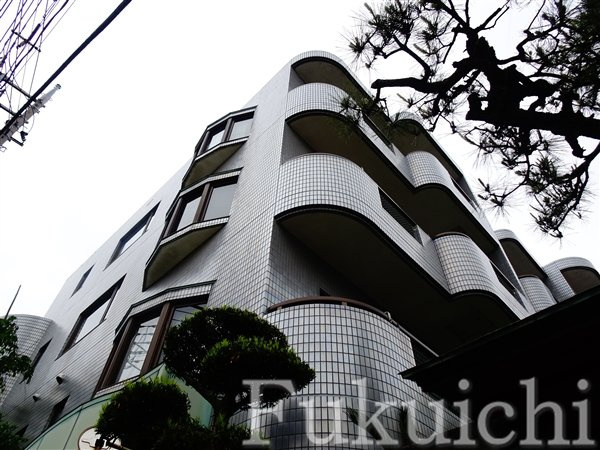 ダイシンヒルズの外観