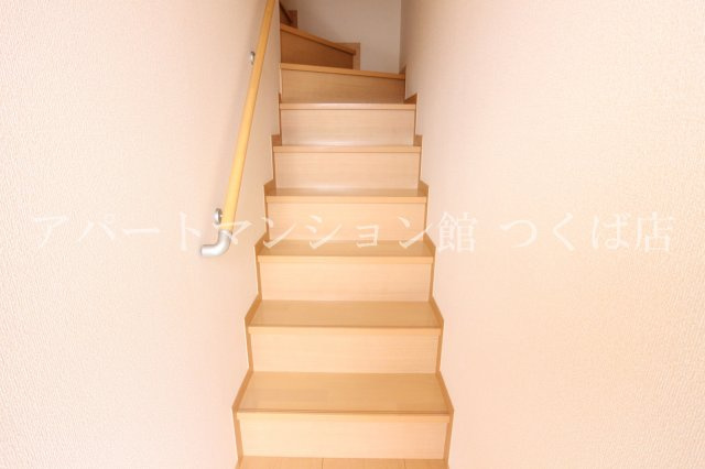 ソフィアの内装