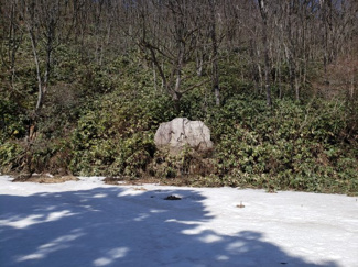 【周辺】 | 日野郡江府町大河原土地