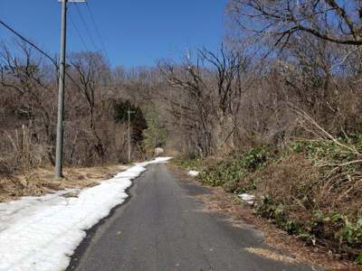 【周辺】 | 日野郡江府町大河原土地
