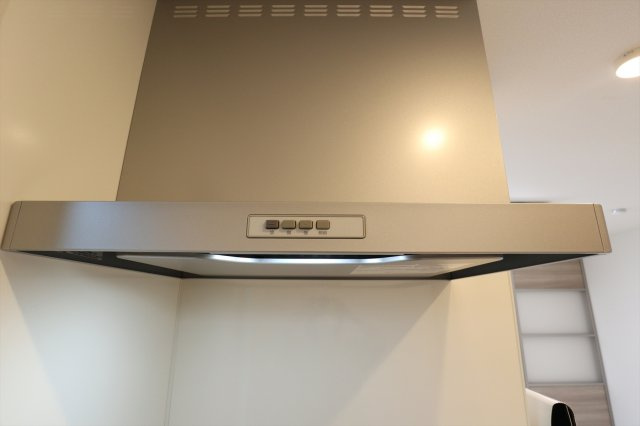 アネシス寺家A・B　A棟のキッチン