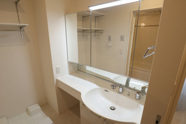 アネシス寺家A・B　A棟の洗面所
